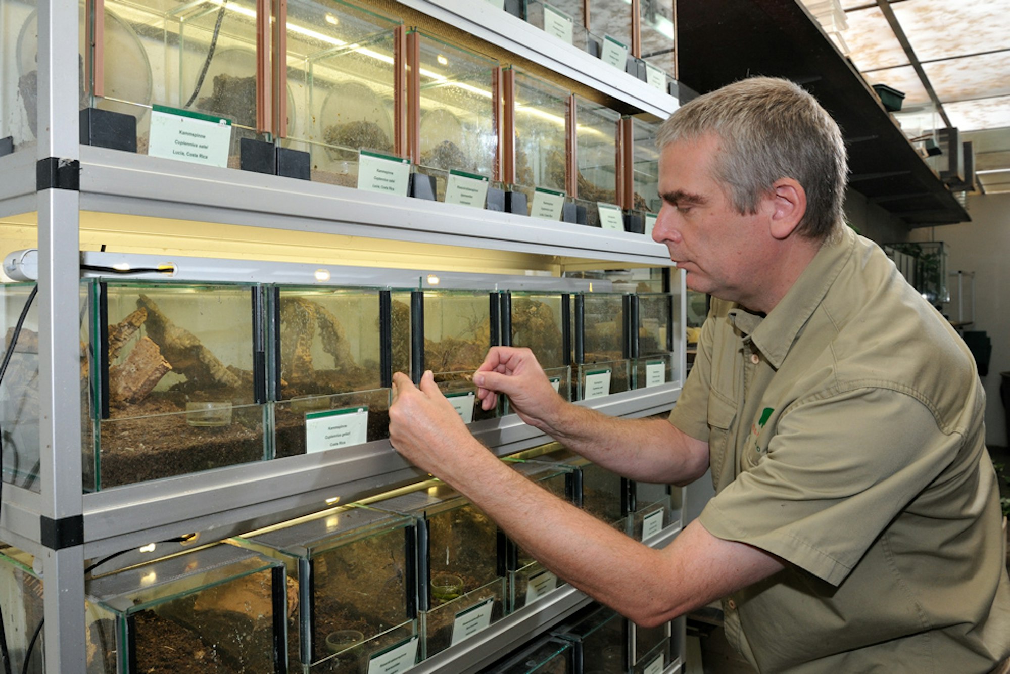 Peter Klaas Zoo Köln