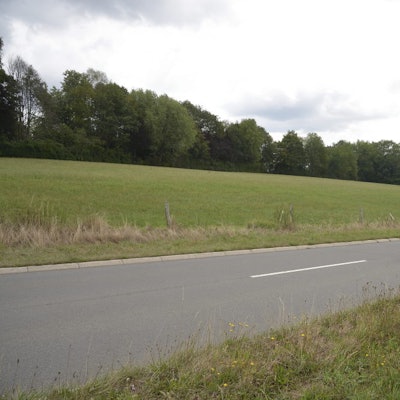 Ein silbernes Auto fährt auf einer Straße, daneben eine Wiesenfläche, wo demnächst 23 neue Häuser enstehen könnten.