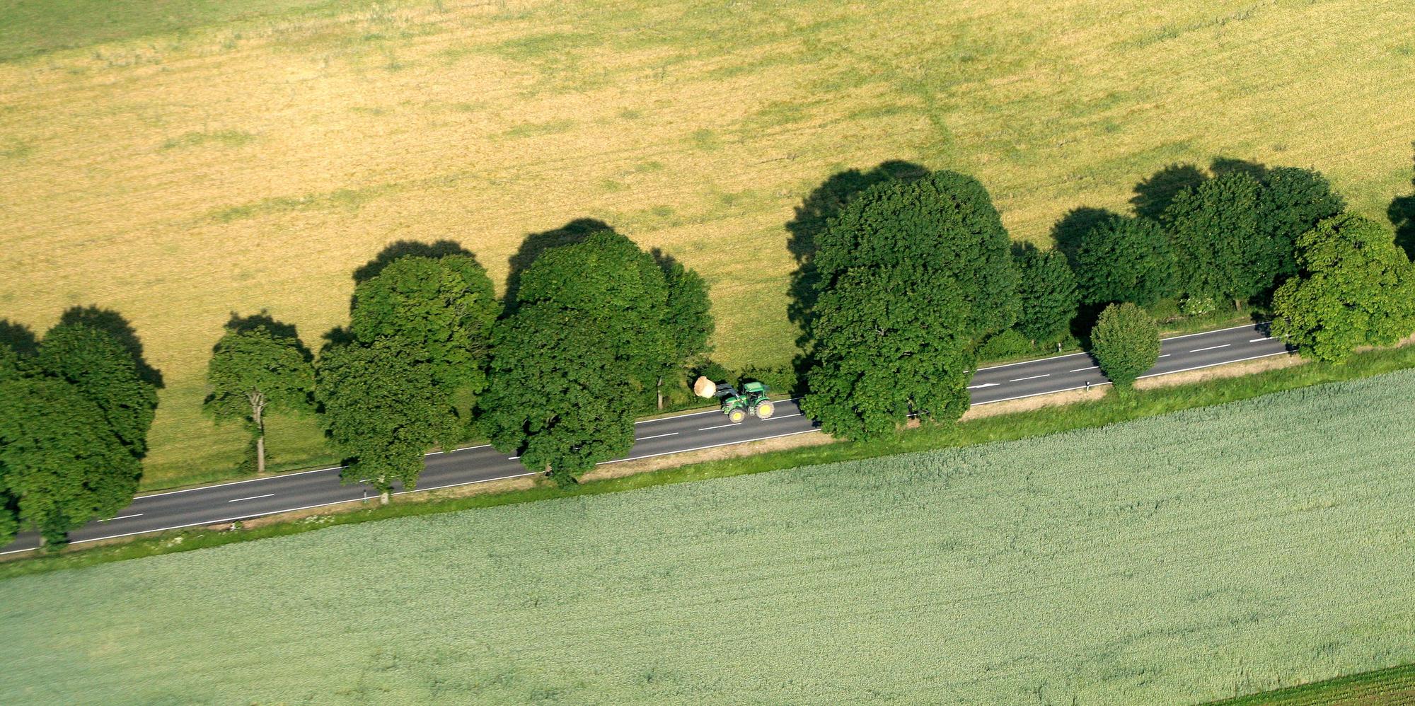 Kuerten_Allee_Spitze_0635_2