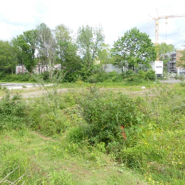 roes-wilhelm-schreiber-004