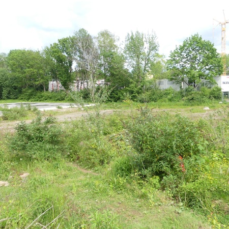 roes-wilhelm-schreiber-004