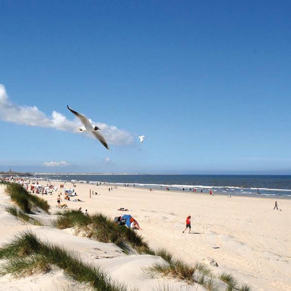 nordsee_insel_dpa (8)