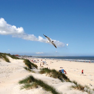 nordsee_insel_dpa (8)