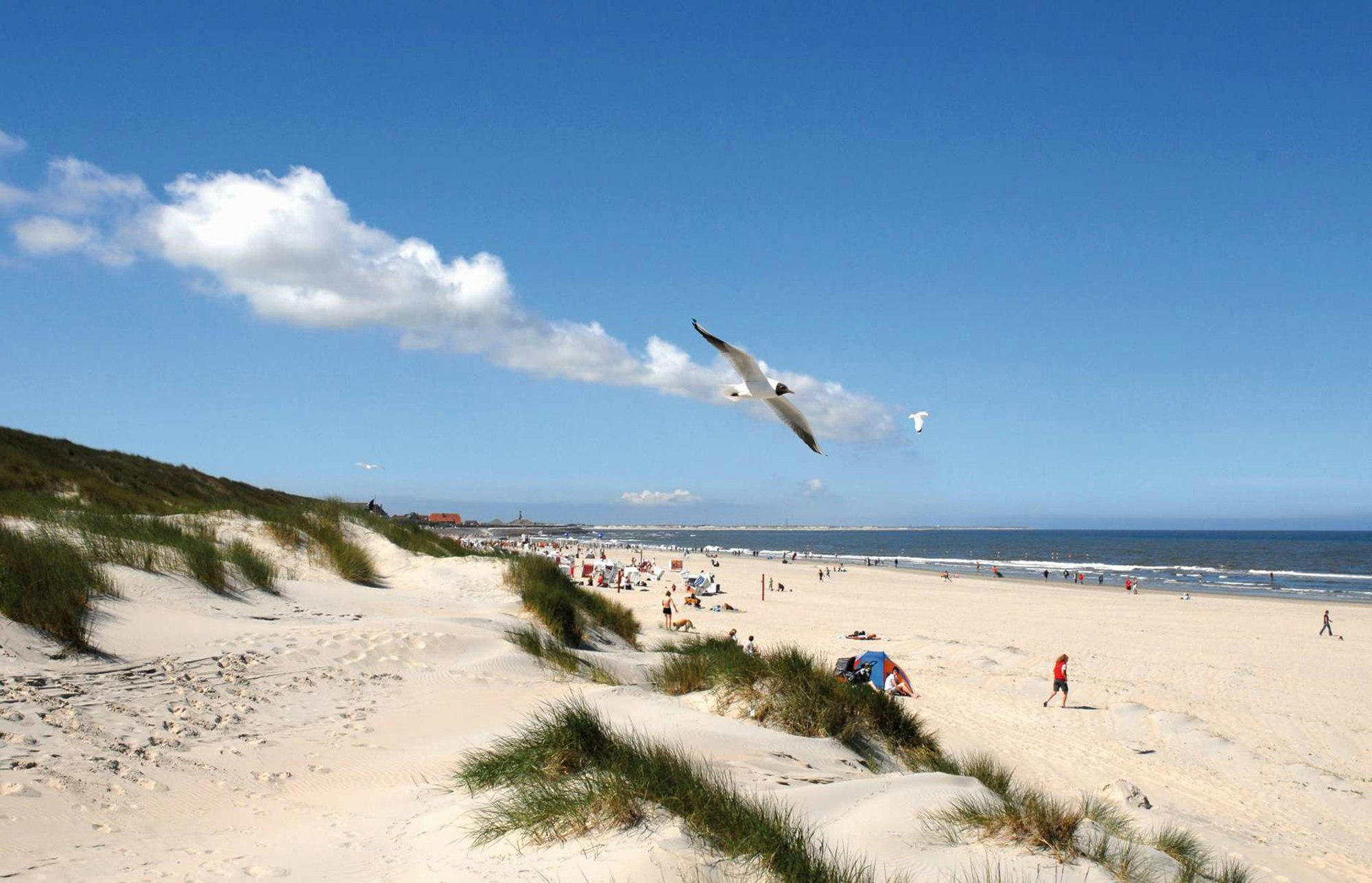 nordsee_insel_dpa (8)