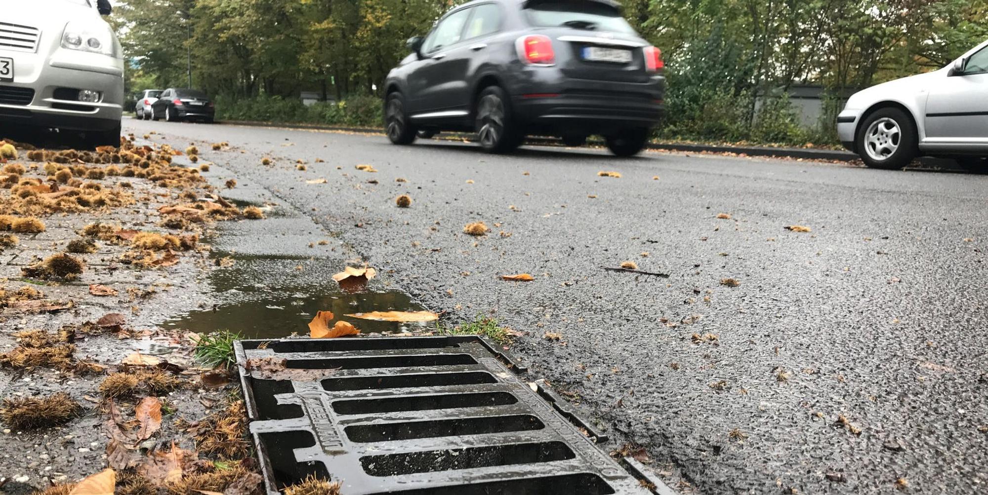 rde_KP_Sinkkaesten1