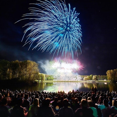 Rhein in Flammen dpa