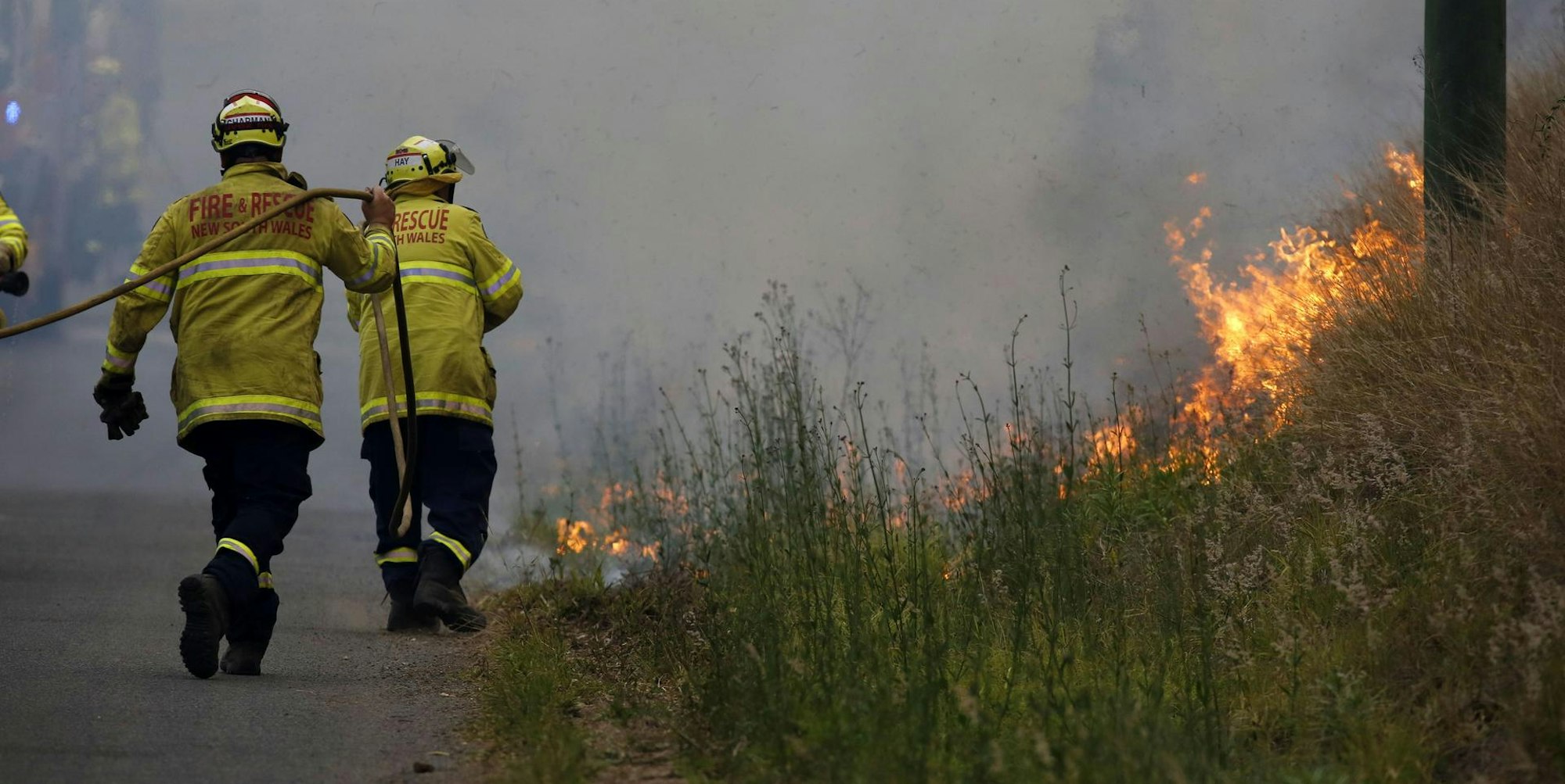 NSW Buschfeuer DPA 121119