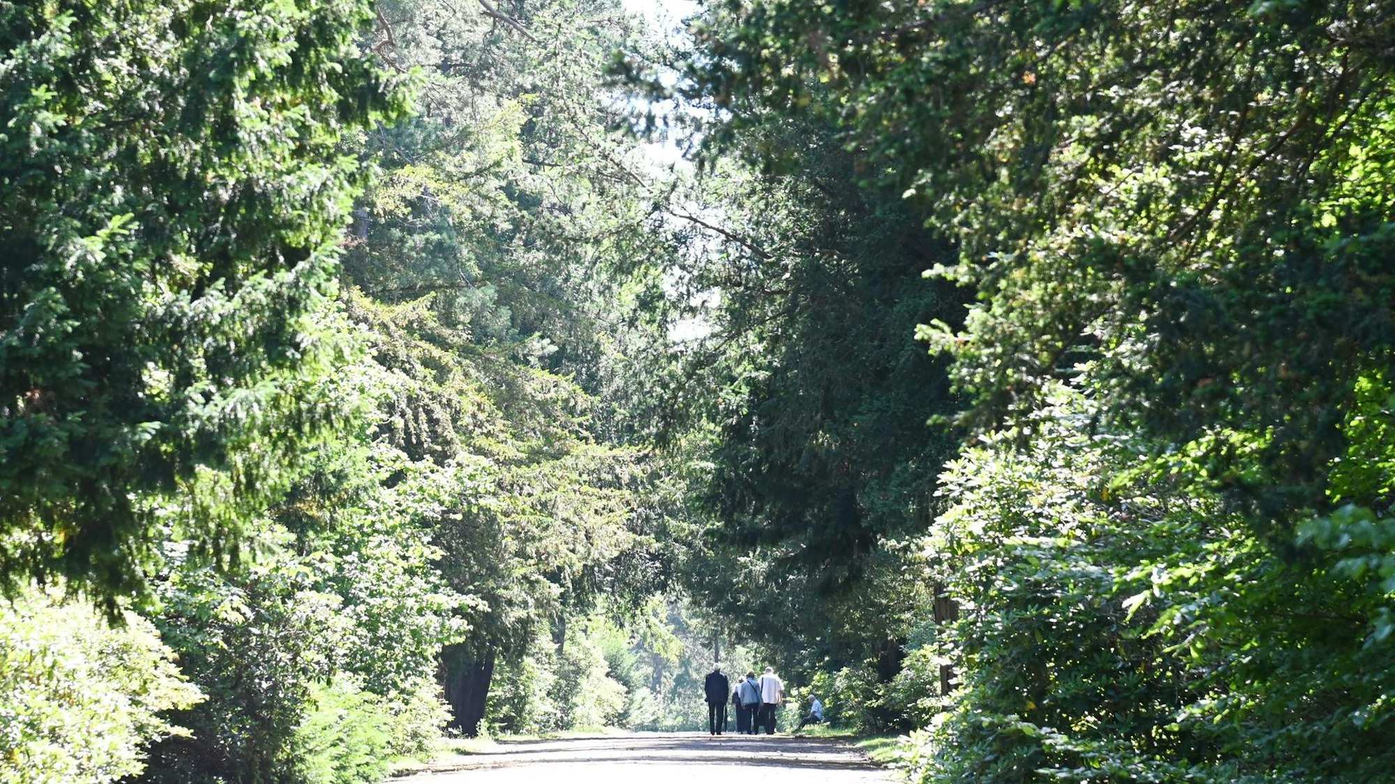 Spaziergänger auf einem Waldweg