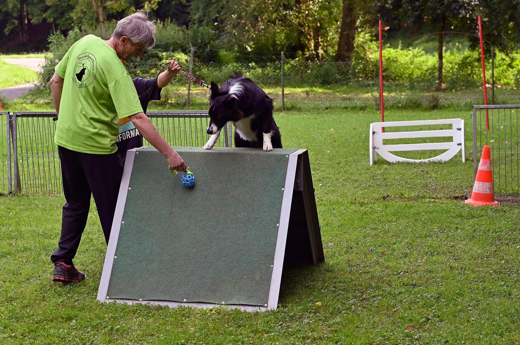 Hundetraining 2 230821