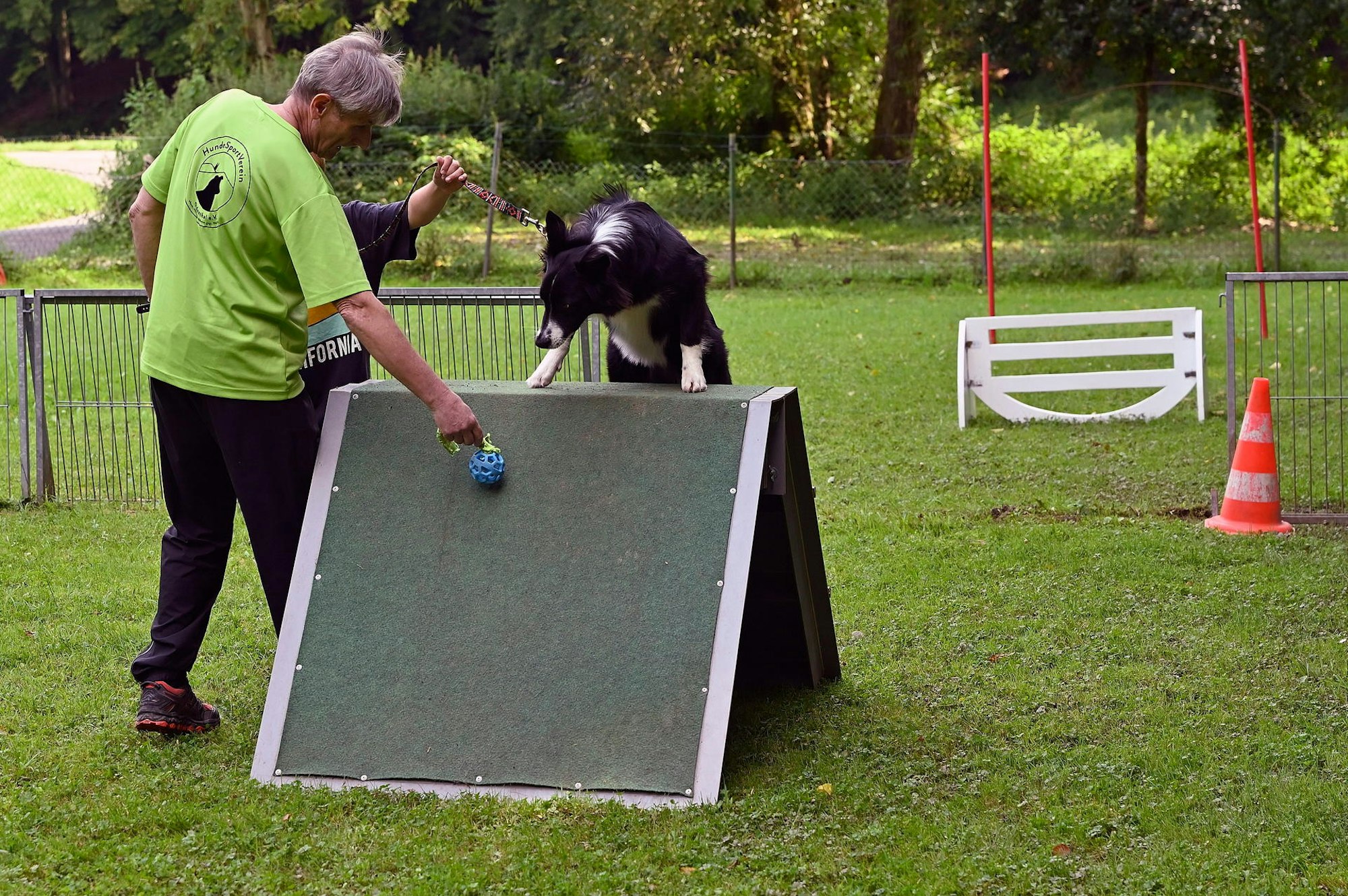 Hundetraining 2 230821