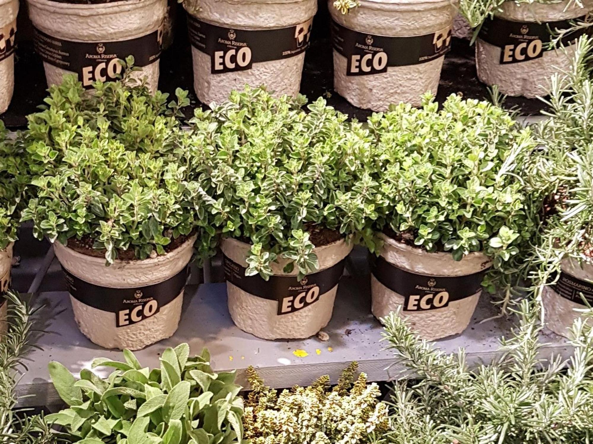 Top IPM 2020