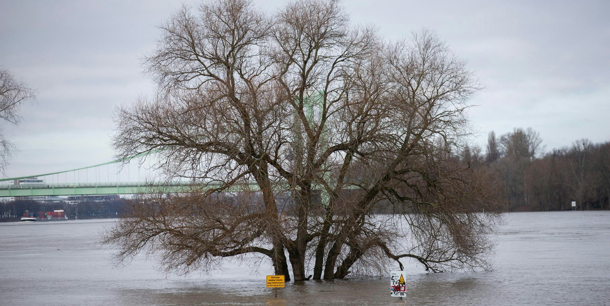 Hochwasser_Rodenkirchen
