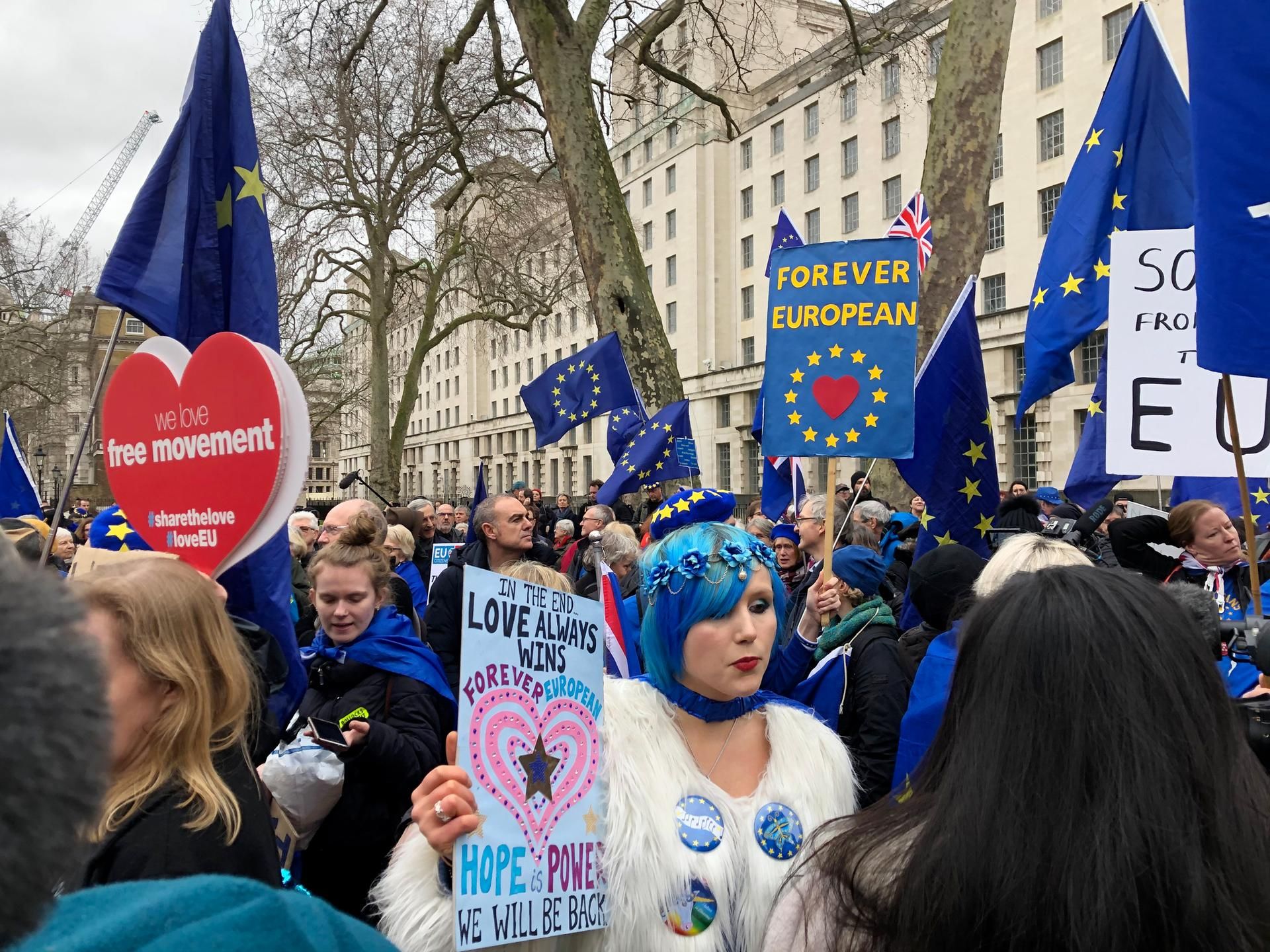 Brexit Demonstrationen