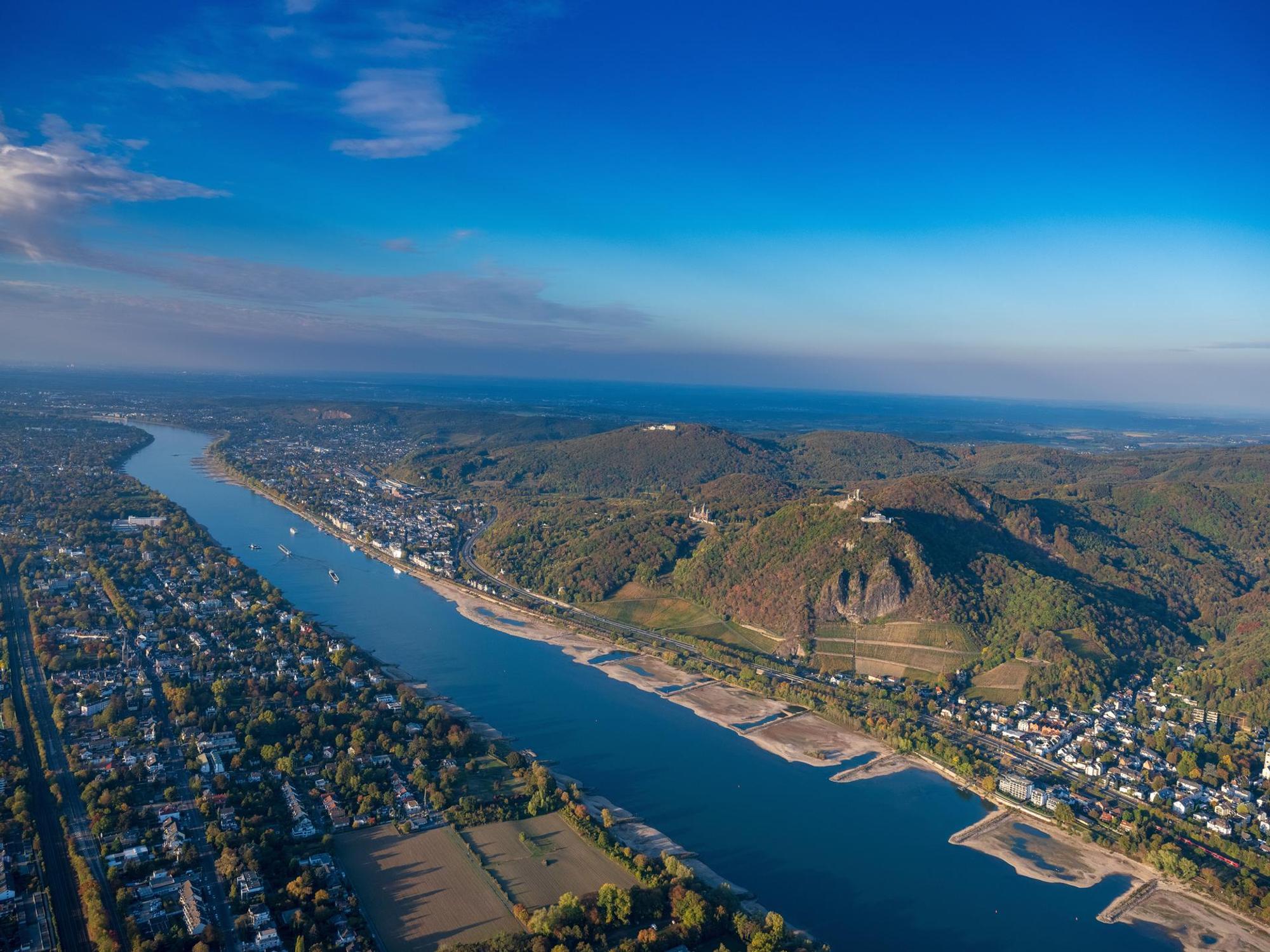 Wein am Rhein12