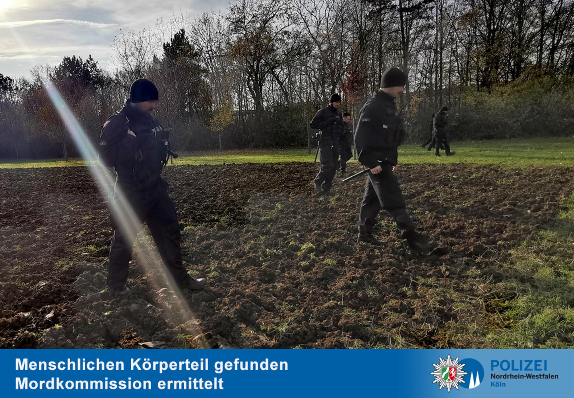 suche-koerperteil01