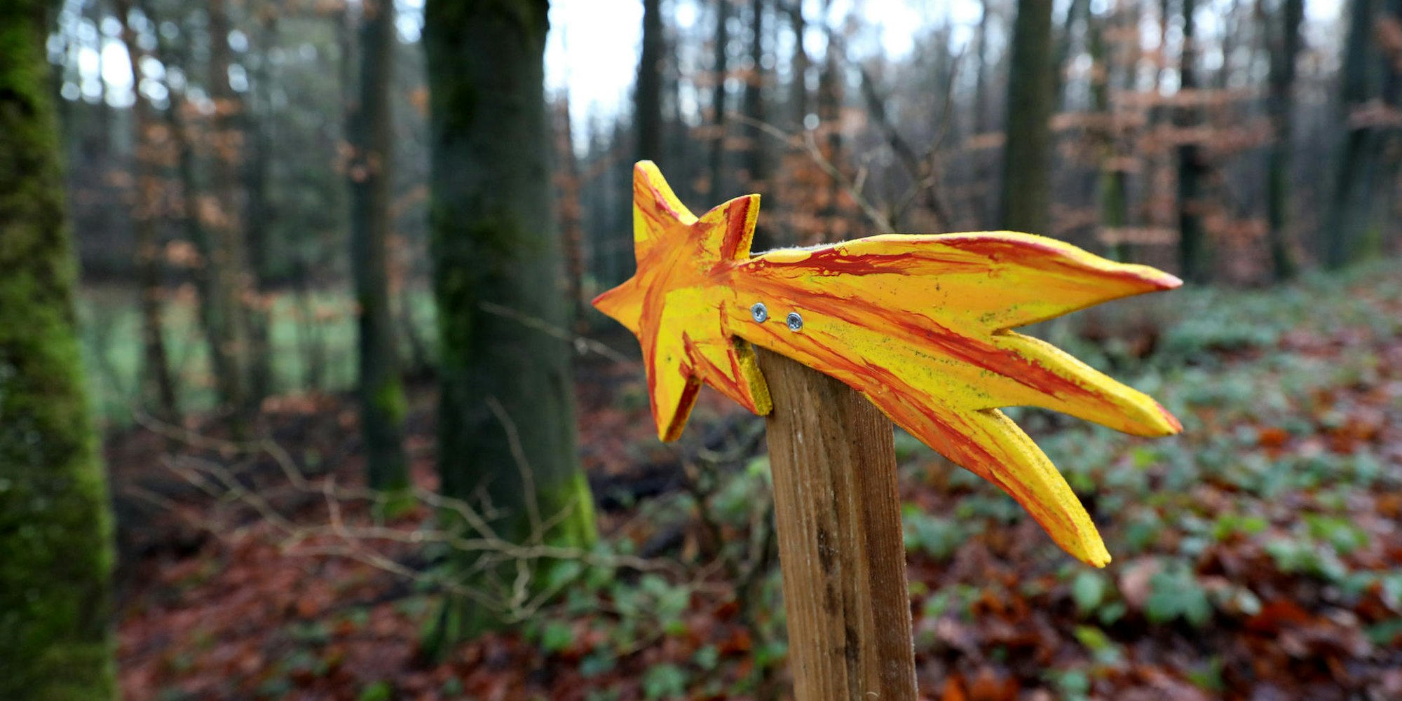 Egener_Krippenweg_0202