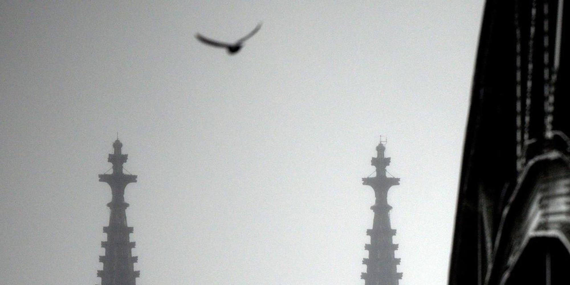 Kölner Dom im Nebel