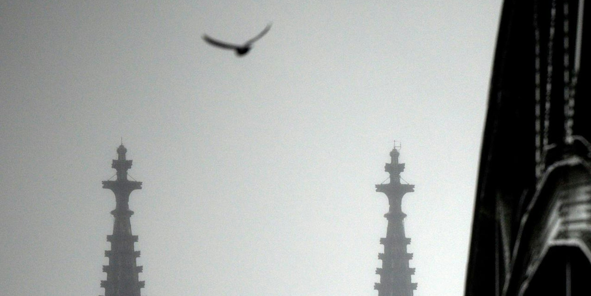 Kölner Dom im Nebel