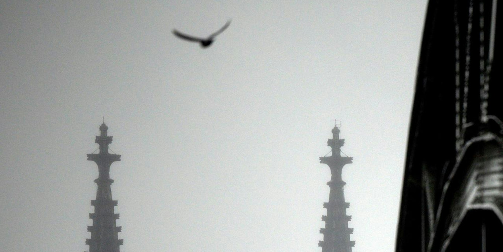 Kölner Dom im Nebel
