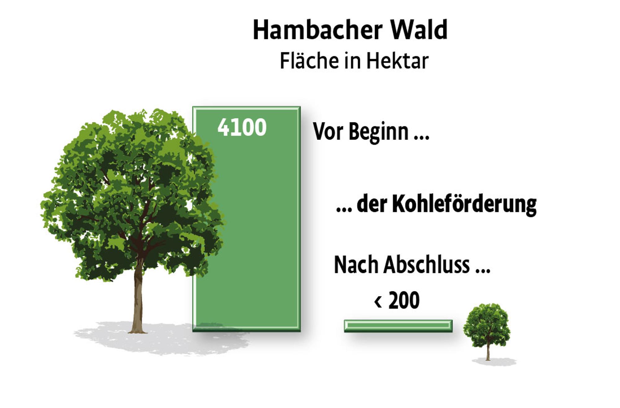 Hambacher Forst Fläche