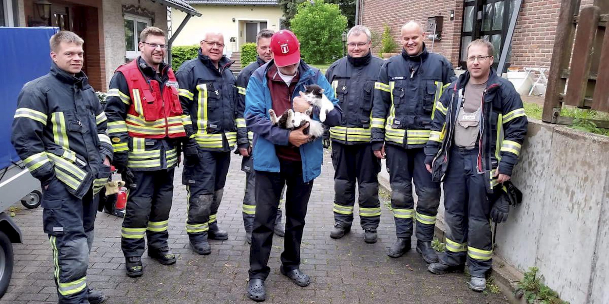 Kater Charly Rettung 1