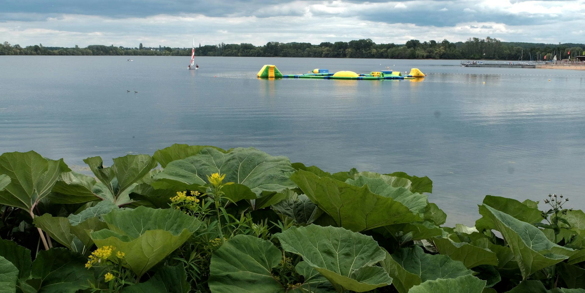 Seepark Zülpich 20190526max-zuelpich14