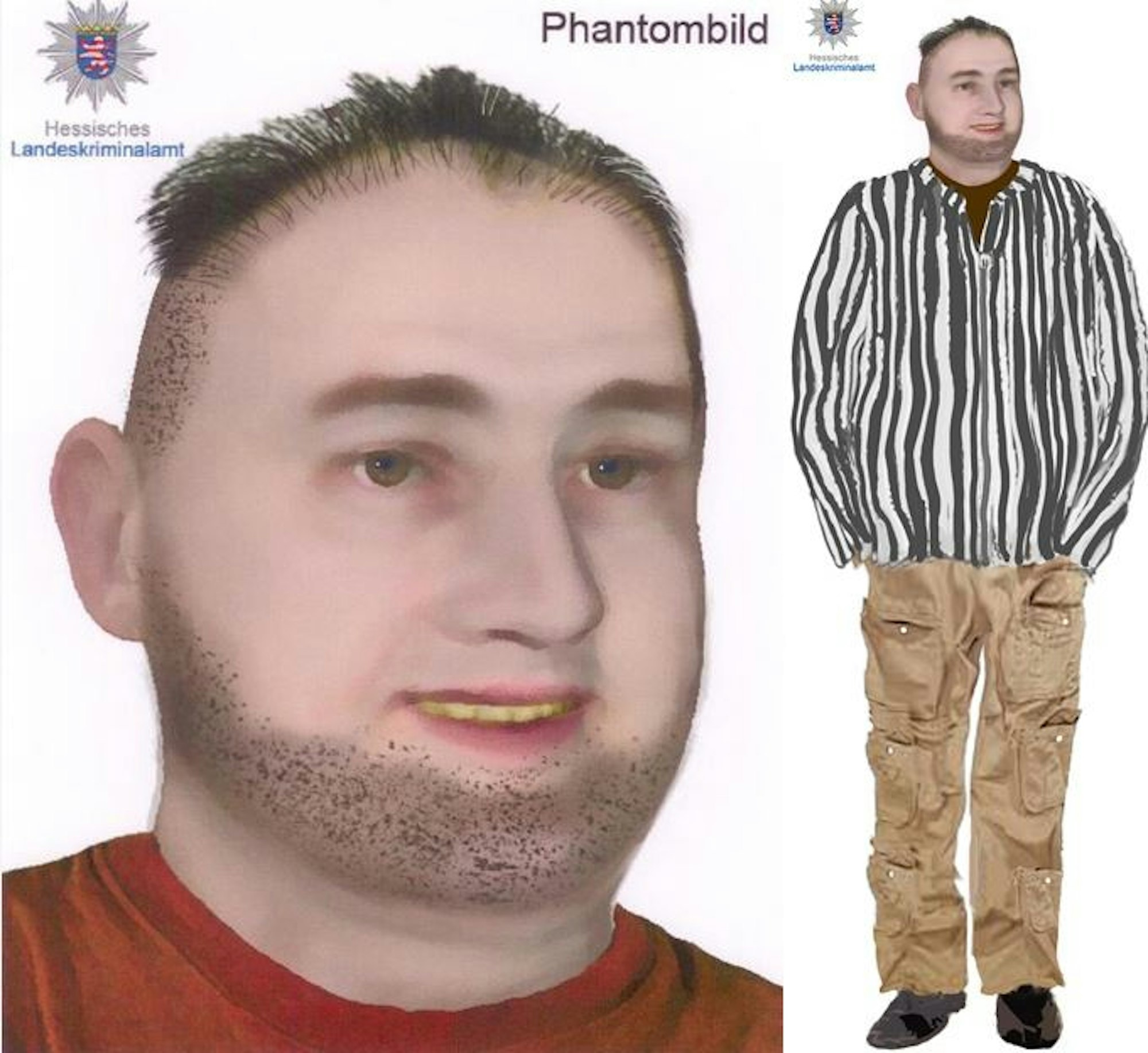 Phantombild PIC