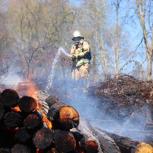 Waldbrand bei Sengelbusch 1