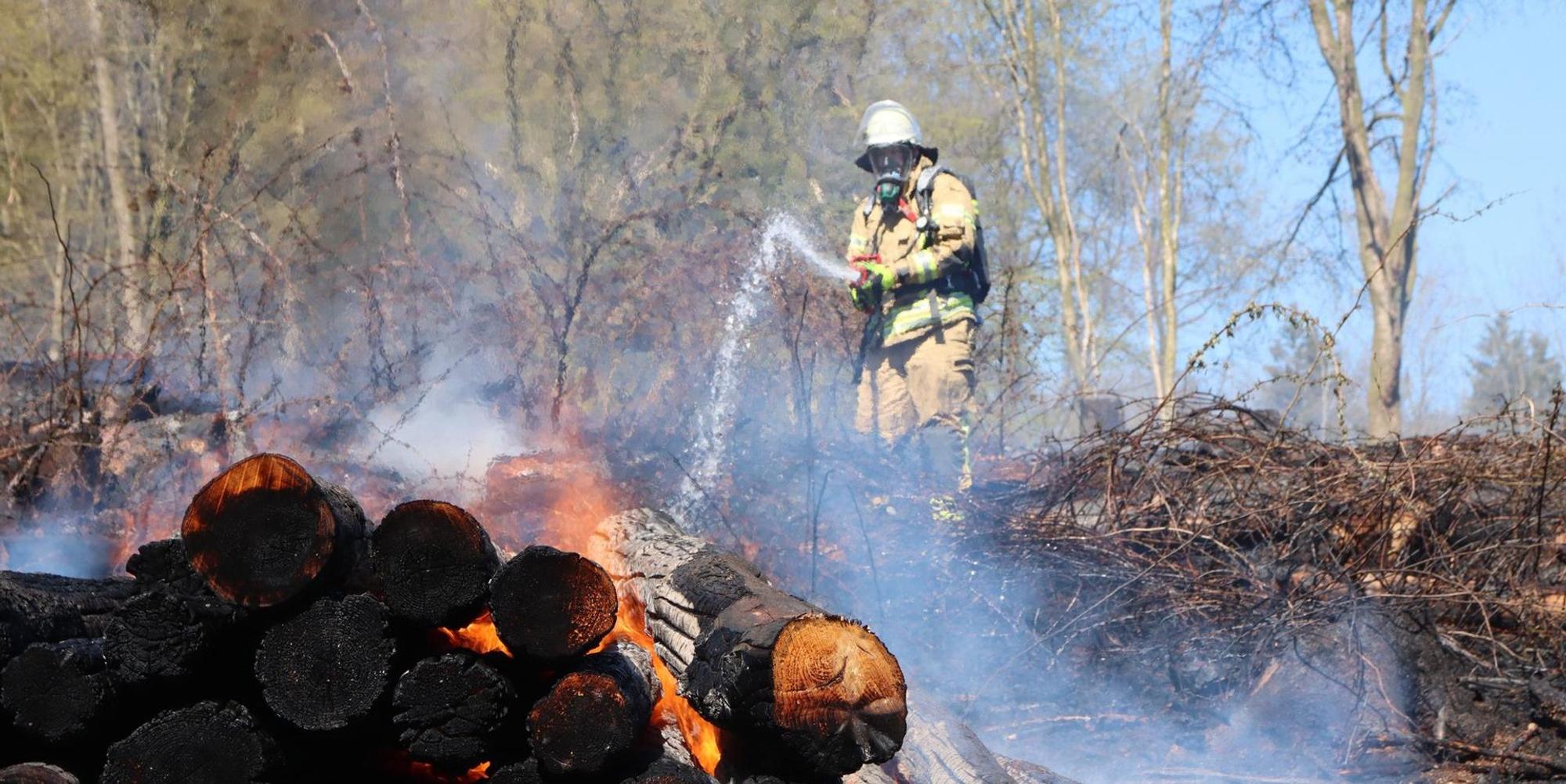 Waldbrand bei Sengelbusch 1