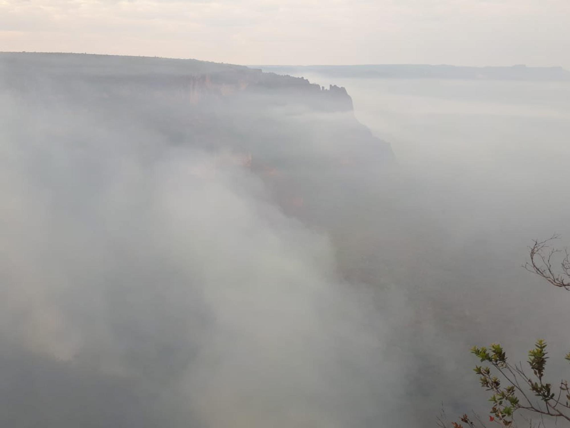 waldbrand brasilien_c