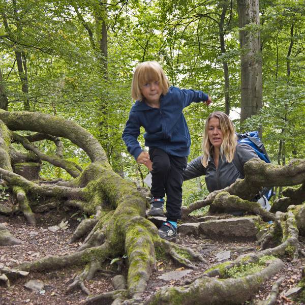 Wanderung Schloss Gimborn Bergisches Land 02 Klettern