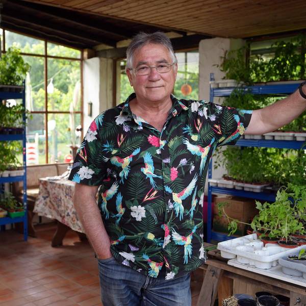 Tomate3