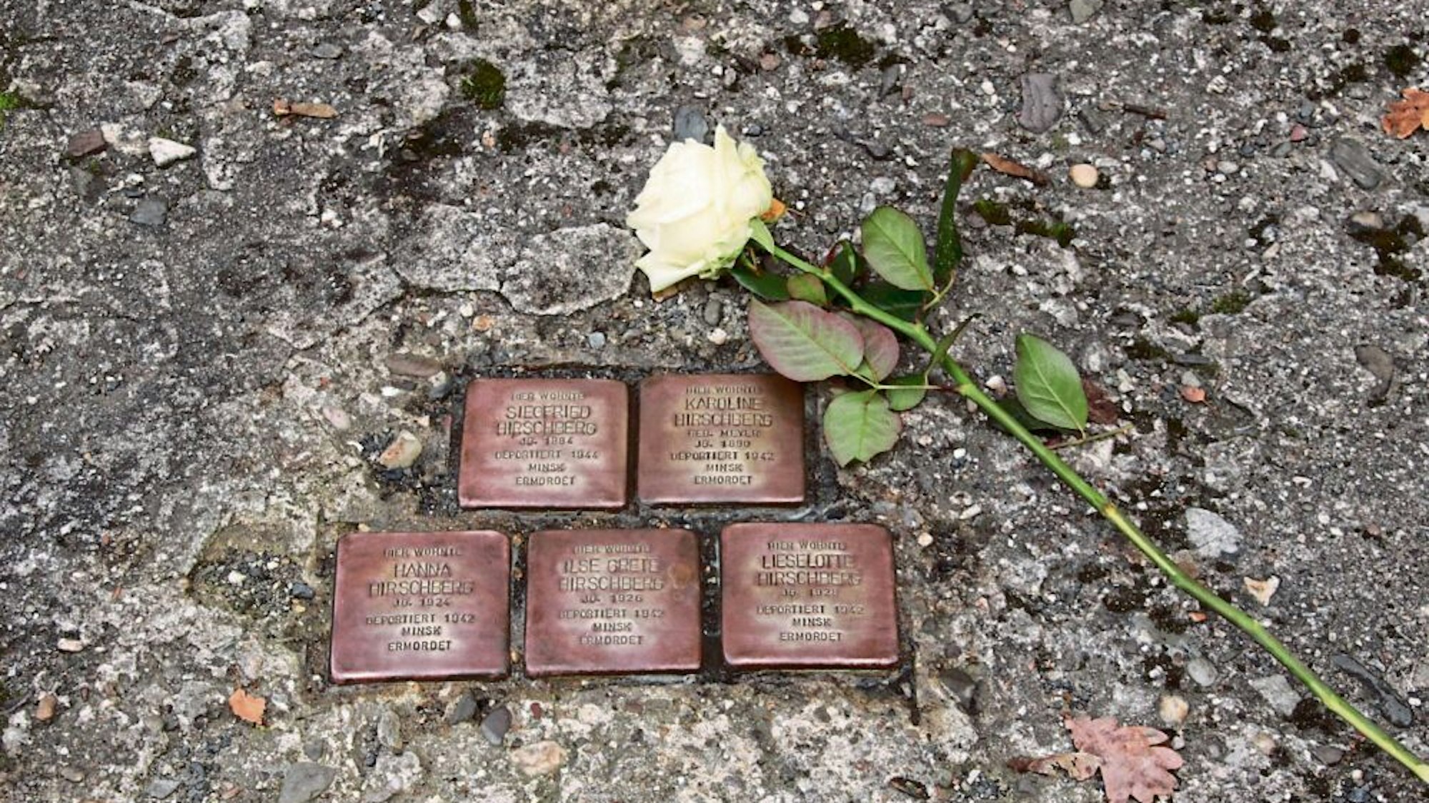 Verbrechen an den Juden, wie die Reichspogromnacht oder Deportationen fanden in aller Öffentlichkeit statt. In vielen deutschen Städten erinnern sogenannte Stolpersteine heute an die NS-Opfer.