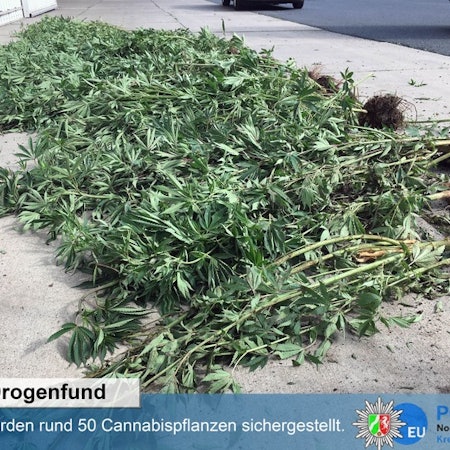 Neuer Inhalt
