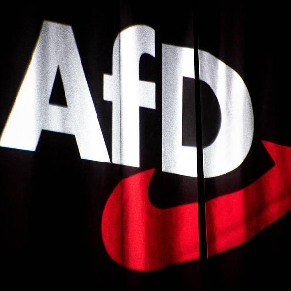AfD Symbolbild