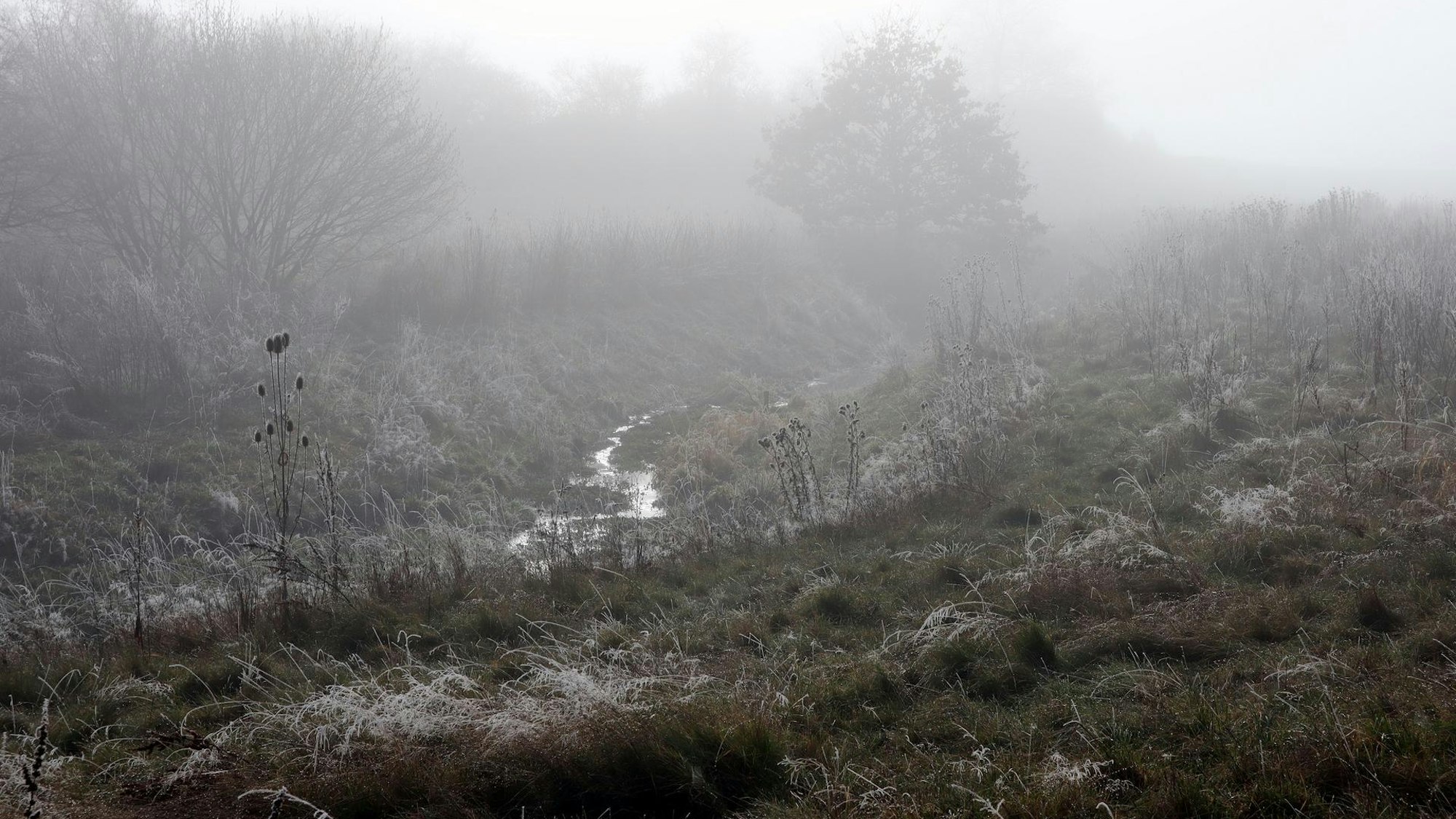 Wanderung Polch Traumpfädchen Polcher Bach
