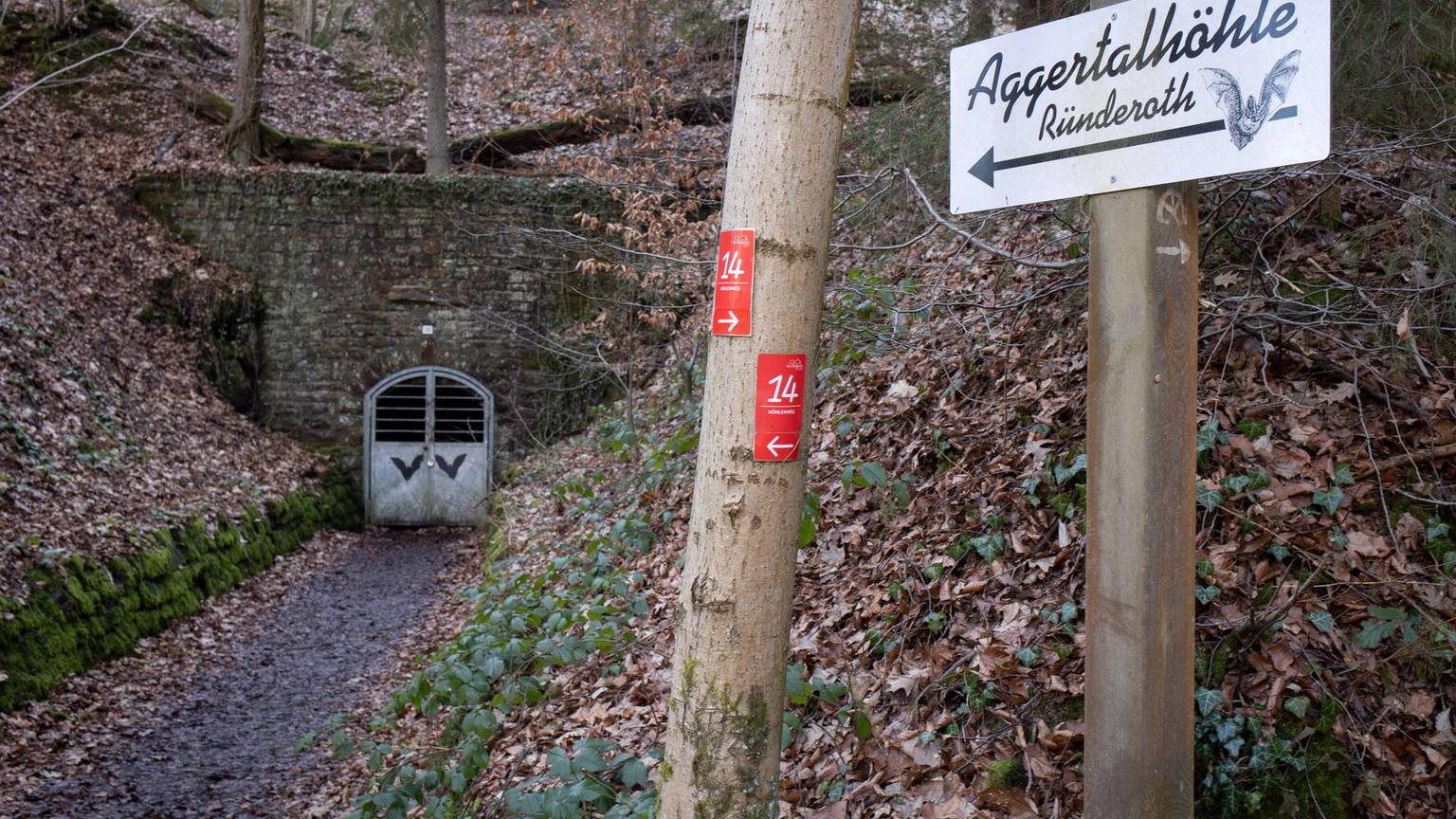 Ein Schild der Ründerother Aggertalhöhle zeigt auf eine Metalltür, die in eine alte Mauer im Wald eingelassen ist.