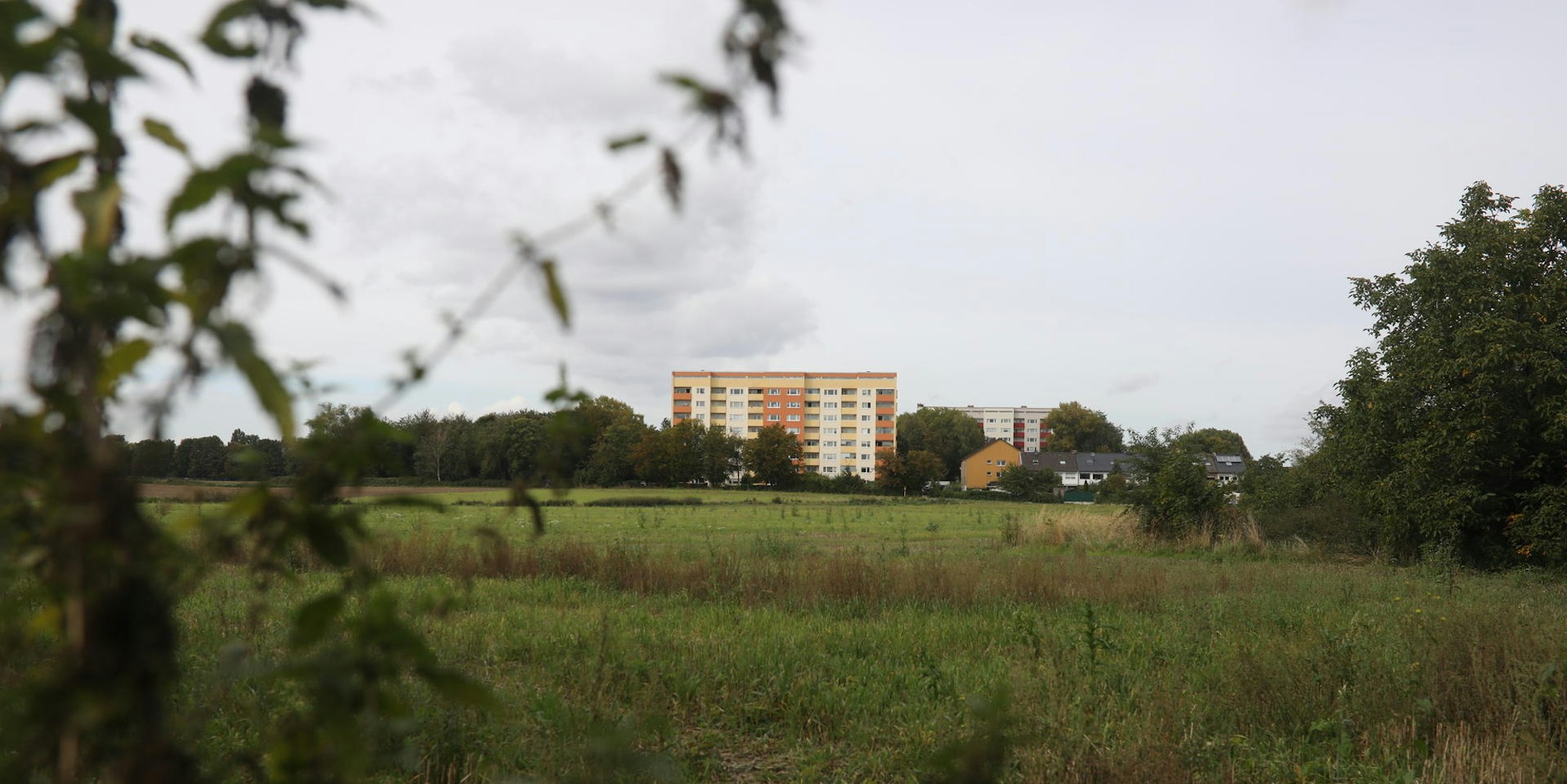 Fuchskaule