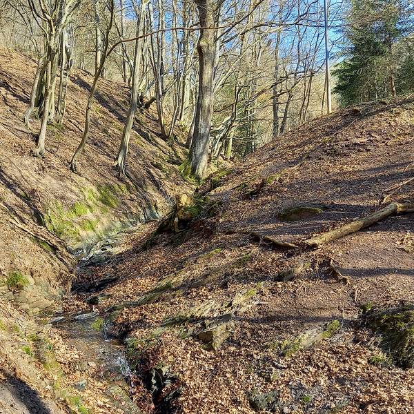 Hochwasserschutz Schleiden