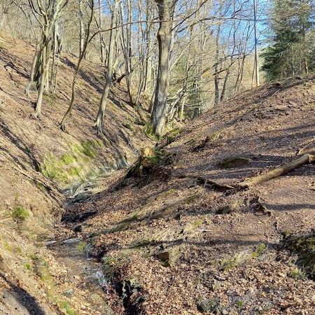 Hochwasserschutz Schleiden