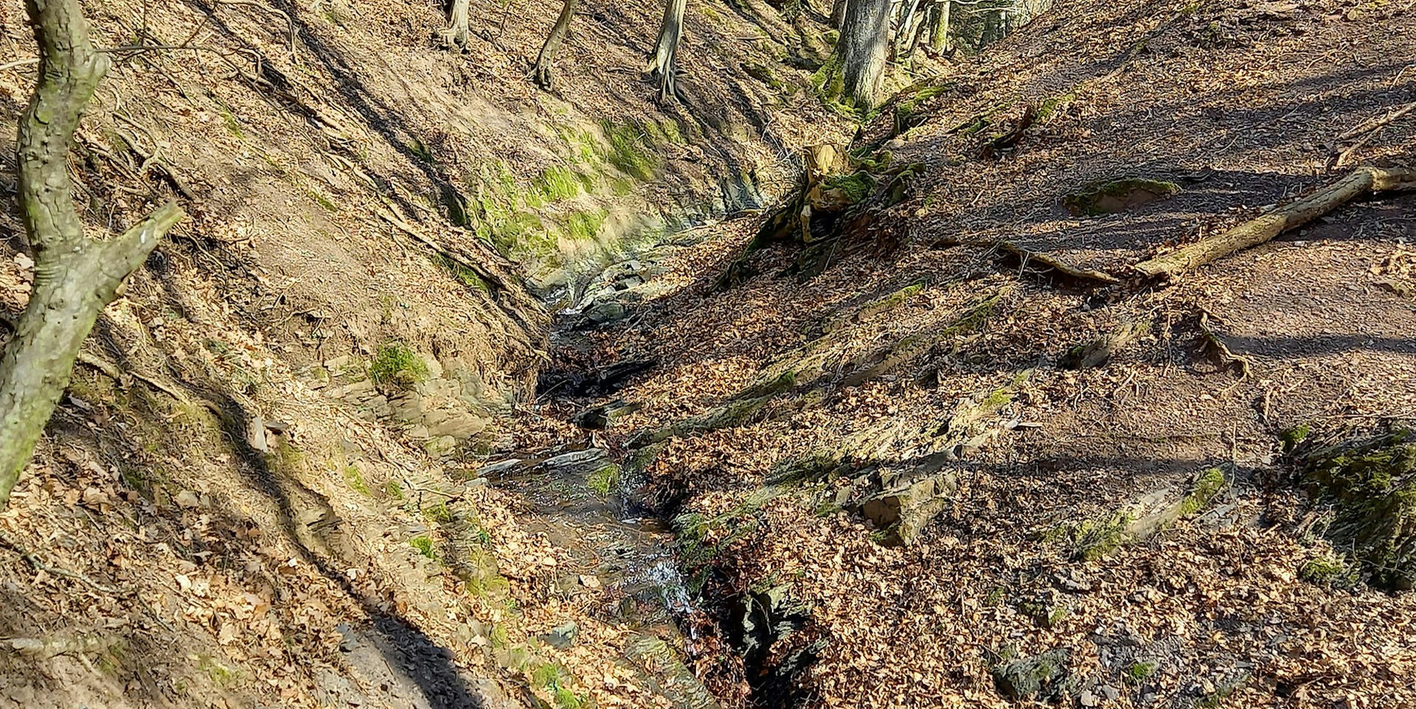 Hochwasserschutz Schleiden
