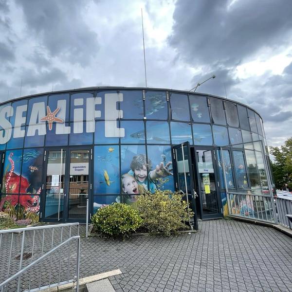 20220915-que-sealife