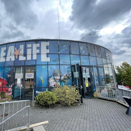 20220915-que-sealife