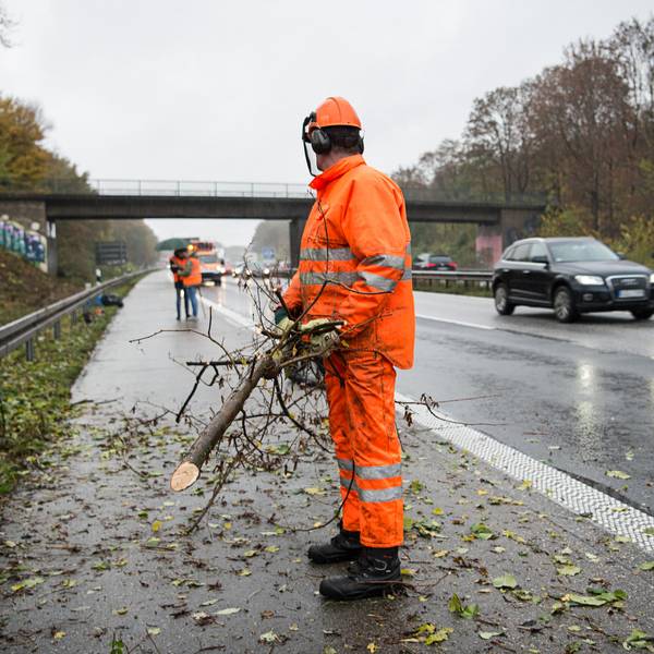 Gehölzpflege_Autobahn
