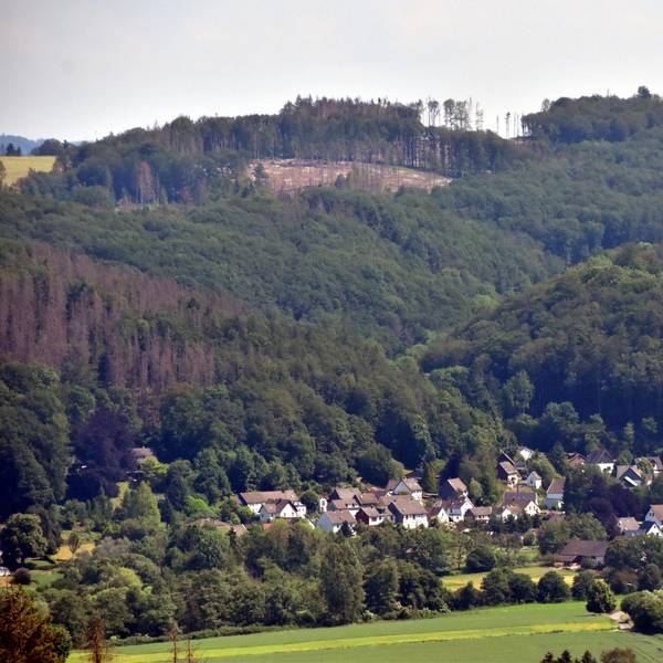 Waldbrandgefahr_Nutscheid2