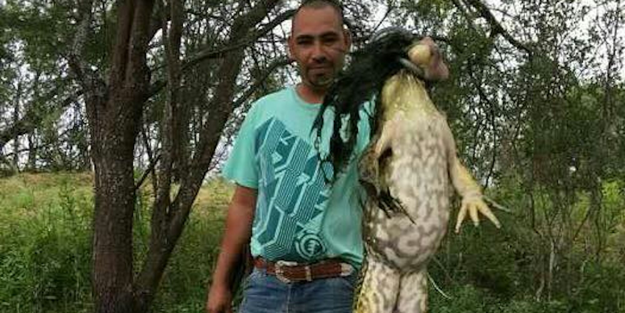 B_megafrosch_31052017