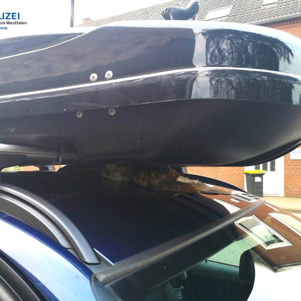 Bussard eingeklemmt