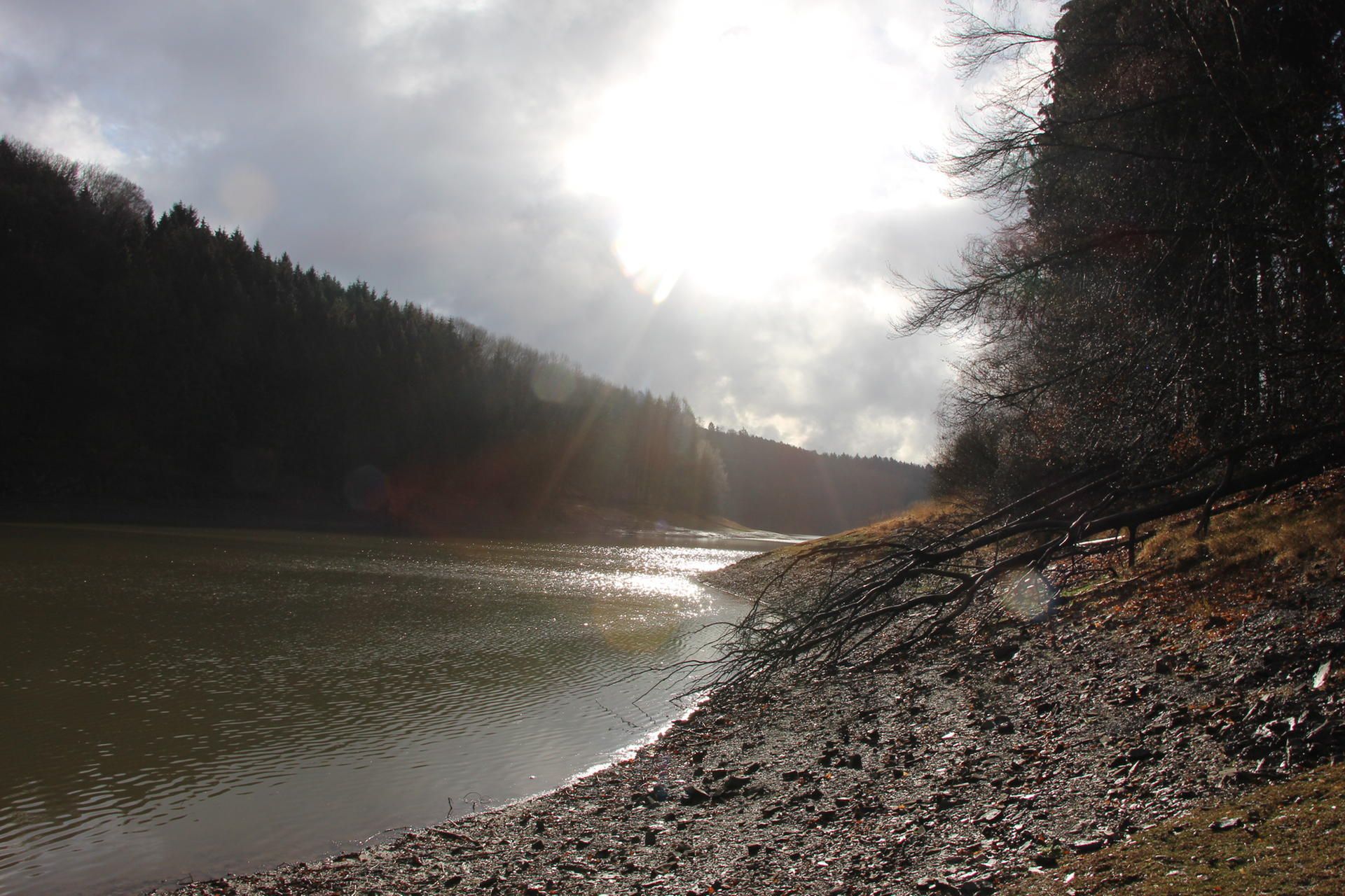 Wahnbachtalsperre_Januar_2019