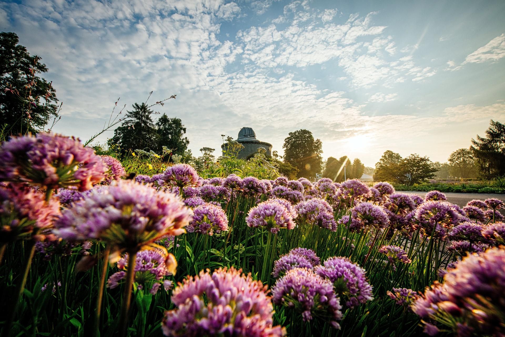 Bundesgartenschau 1