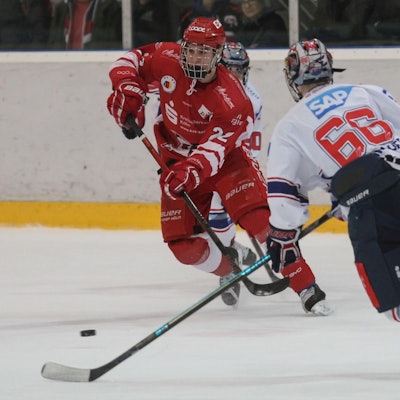 Junghaie Maximilian Glötzl 20.3.19